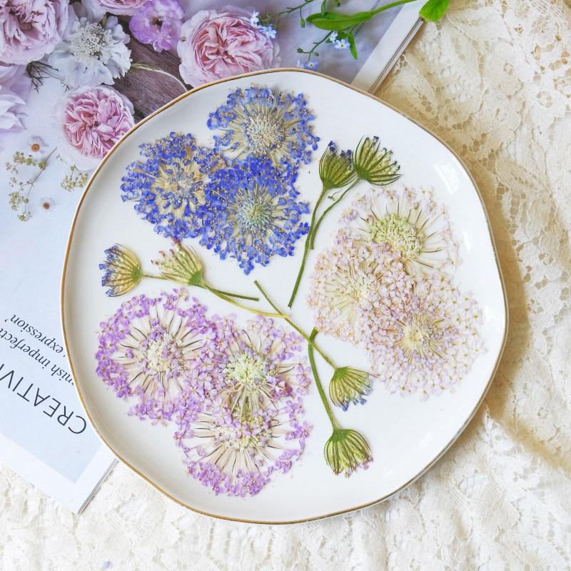 Dried Flower Pressed - 12 adet preslenmiş zümrüt inci çiçeği