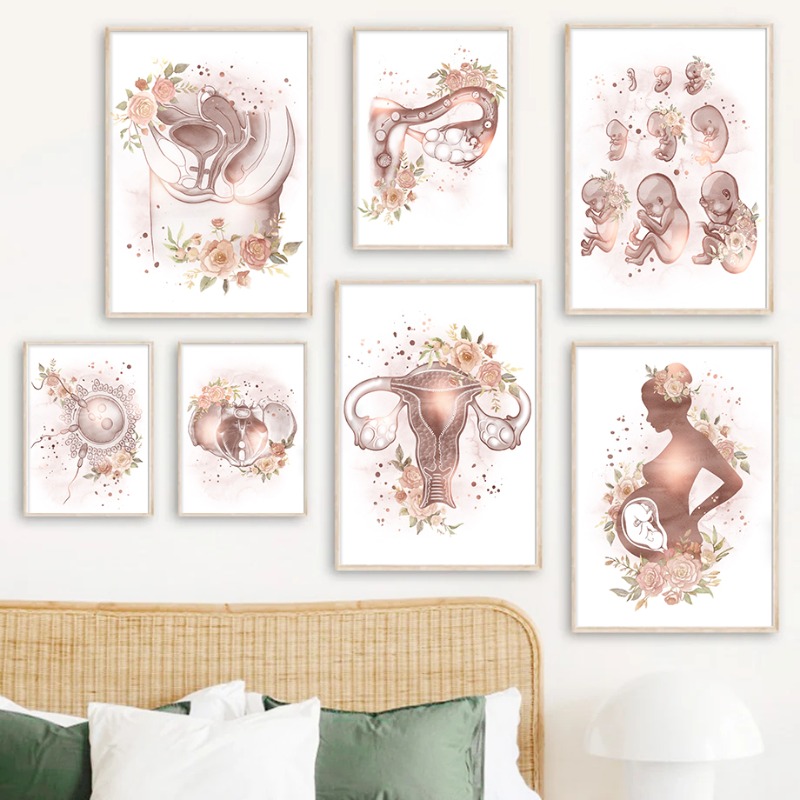 Resin Art Pregnancy - Jinekoloji Kadın Anatomisi Doğurganlık Gebelik Posterleri
