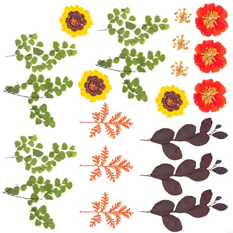 Reçine Kalıpları için Kurutulm - Dried Flower Pressed incelemesi ve fiyatı