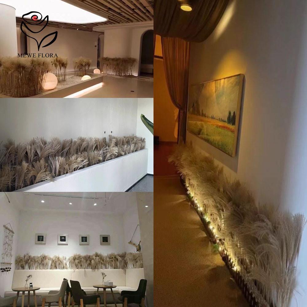 200 adet doğal kurutulmuş kaba - Dried Flower Pressed incelemesi ve fiyatı