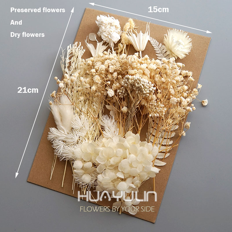 1 Paket Yapay Bitkiler Kurutul - Dried Flower Pressed incelemesi ve fiyatı